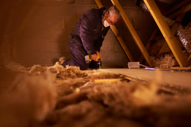 Best Insulation Installation Services in Falmouth, KY